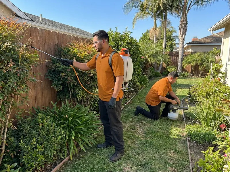 Mosquito Reduction and Yard Treatment in Whittier, CA